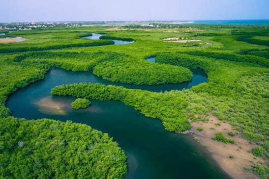 Grand Circuit du Nord au Sud du Sénégal Type