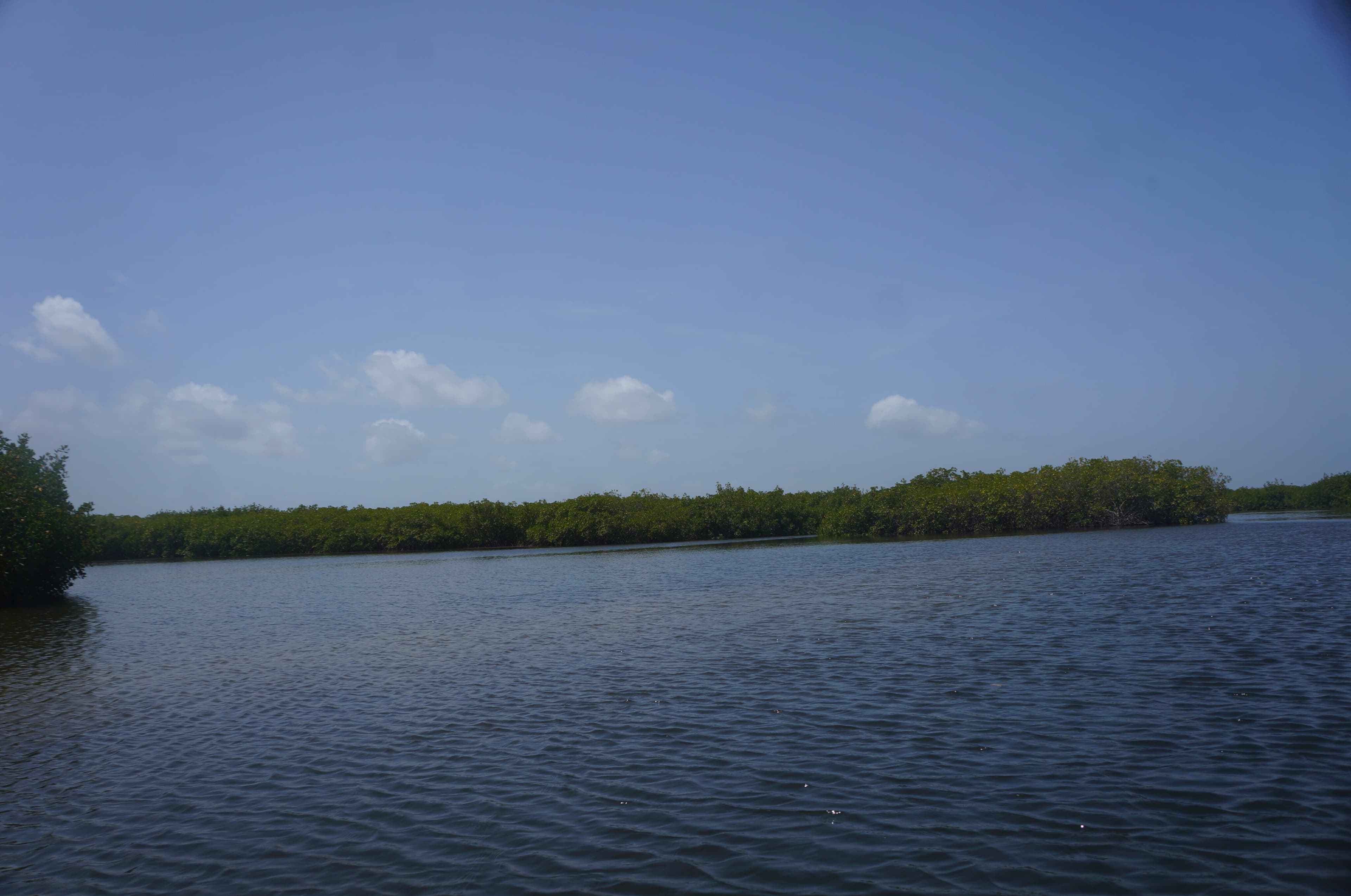Île de Palmarin