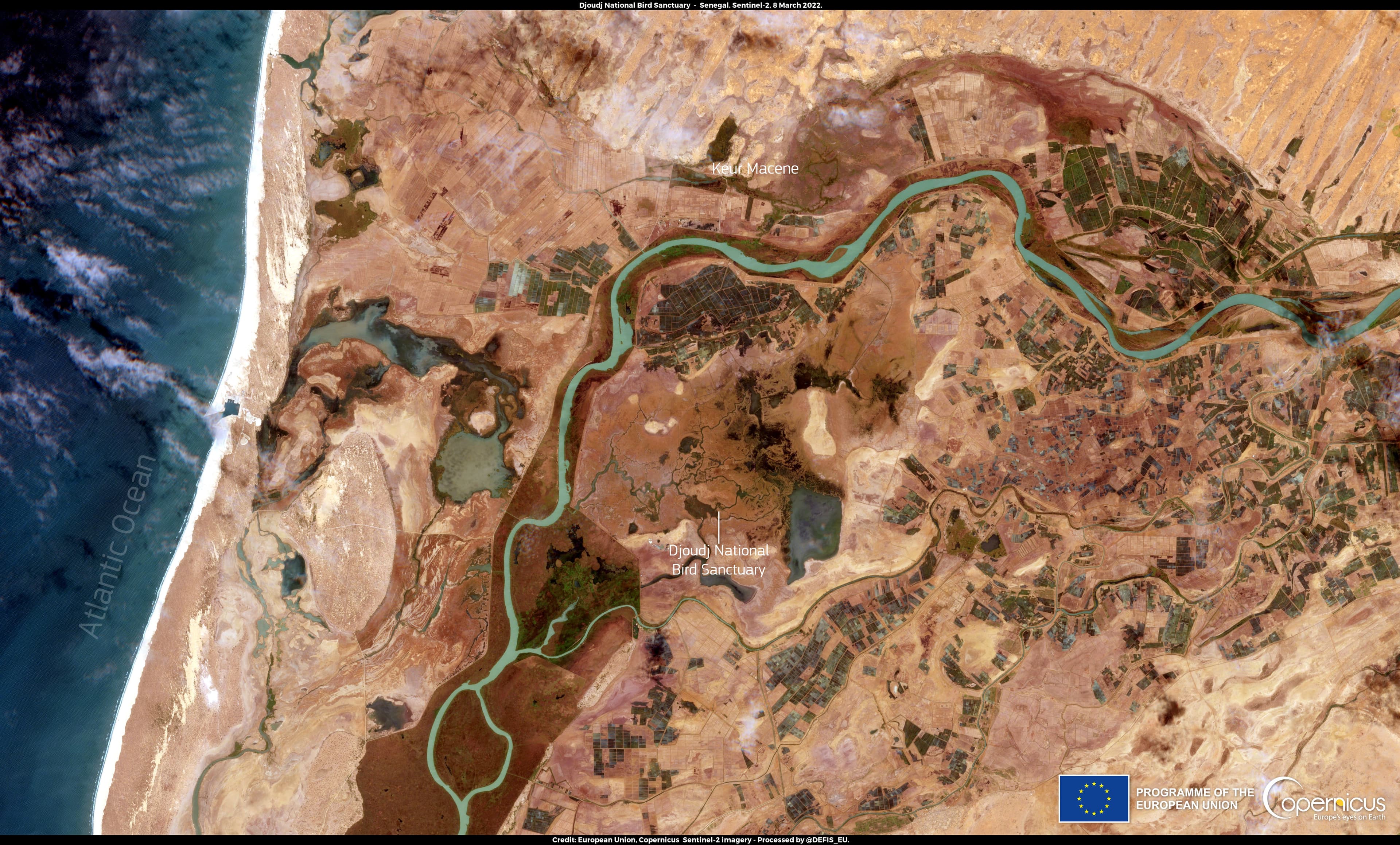 Parc national des oiseaux du Djoudj